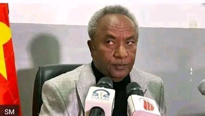 TPLF proposed General Tadesse Werede for the position President of TIRA.