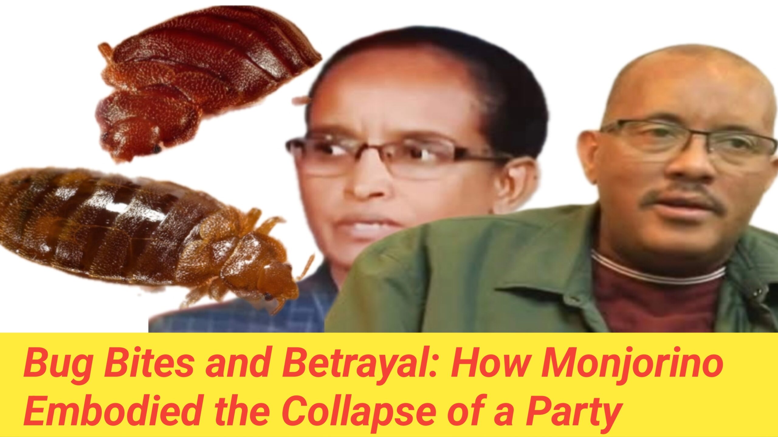 “Bugs, Blood, and Betrayal: Fetlework ‘Monjorino’ and the Symbolic Rot of TPLF’s Political Decline”