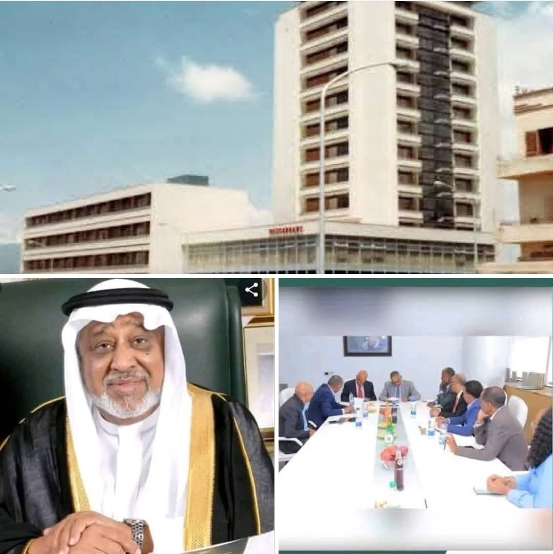 MIDROC Acquires Historic Wabi Shebelle Hotel: Analysis of Strategic Investment and Broader Economic Impact