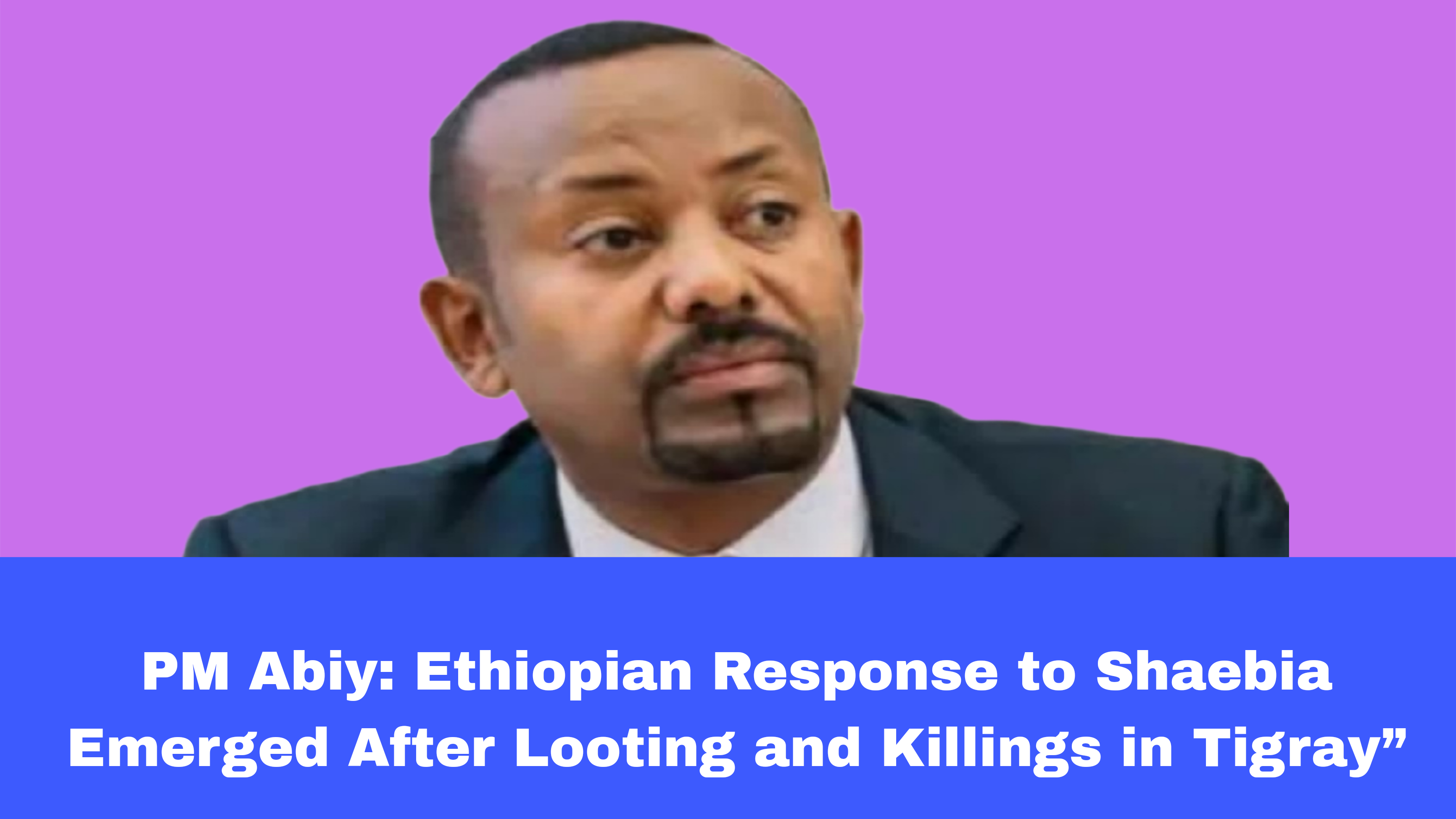 Abiy Addresses Parliament: Shaebia’s Actions in Tigray, Not Red Sea, Drove Conflict.